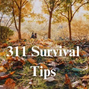 311 Survival Tips