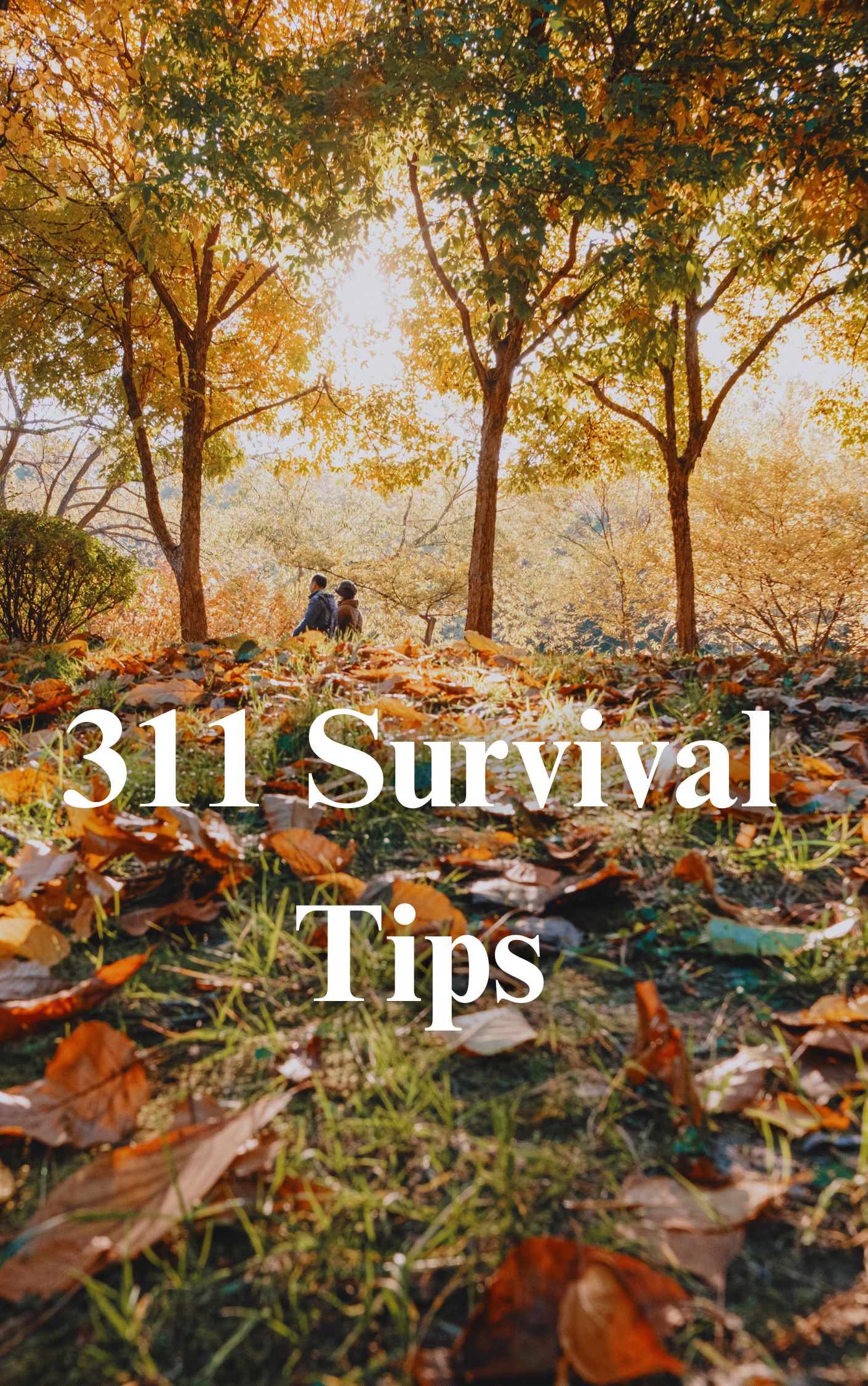 311 Survival Tips